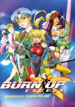 Burn Up Excess